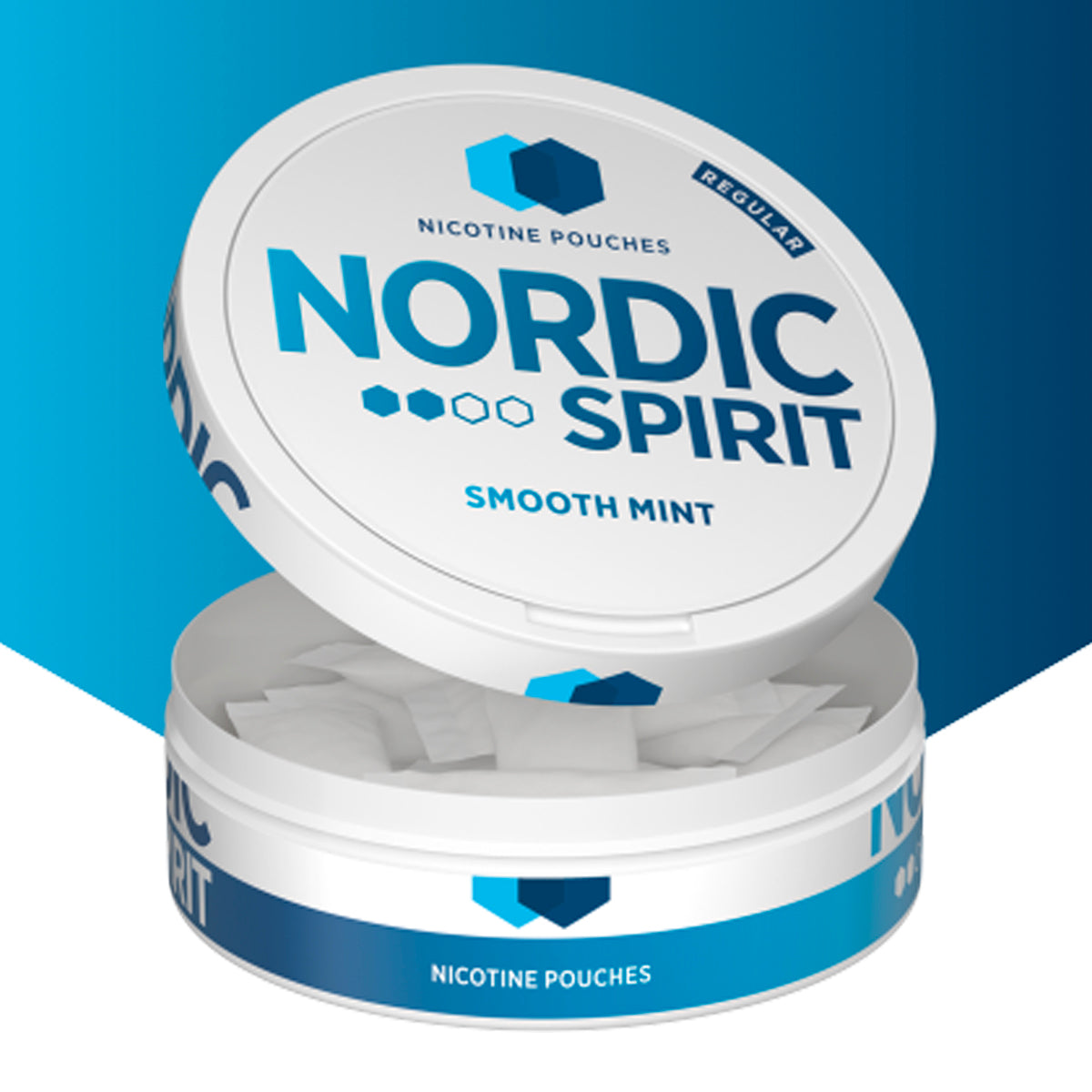 nordic spirit banner